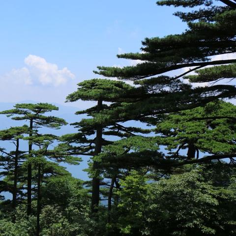 《幻想生活i》樵夫时装升级,各等级服饰美图鉴赏 《幻想生活i》樵夫时装升级,各等级服饰美图鉴赏