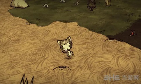 《饥荒》三猫MOD生存攻略:流浪猫玩法全解析 《饥荒》三猫MOD生存攻略:流浪猫玩法全解析