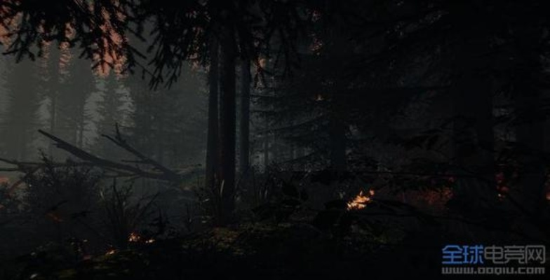 《森林恐怖全攻略》:揭秘生存技巧,惊悚之旅全程解析 《森林恐怖全攻略》:揭秘生存技巧,惊悚之旅全程解析