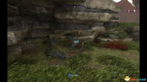 《阿凡达萨仁图腾柱全图揭秘：探索潘多拉边境神秘图腾》