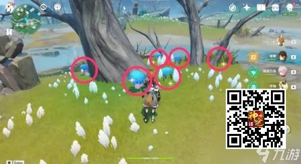 《原神》幽灯蕈攻略：托马突破必备材料收集全解析