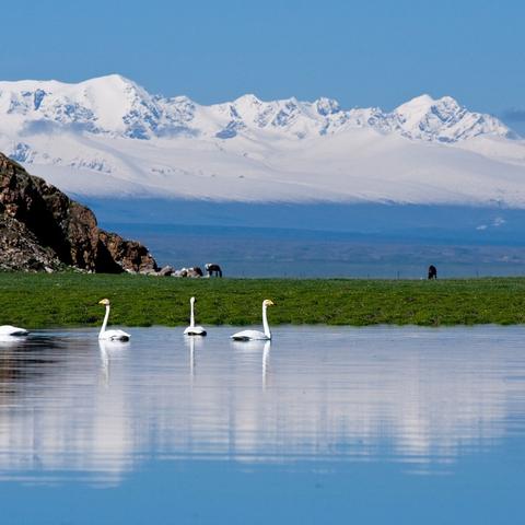 《赛车计划2》倒影特效消失!揭秘修复攻略 《赛车计划2》倒影特效消失!揭秘修复攻略