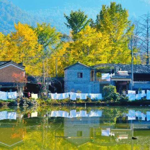 《战争机器:终极版》光影升级,烟雾特效震撼重现 《战争机器:终极版》光影升级,烟雾特效震撼重现