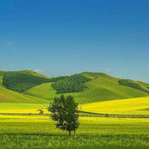 《无限暖暖》微风绿野图鉴攻略：独家收集秘籍大公开