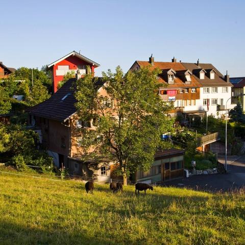 《崩坏星穹铁道》2.0版情绪齿轮攻略：高效收集秘籍！