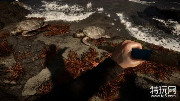 《森林之子篝火秘籍:轻松打造温暖火堆》 《森林之子篝火秘籍:轻松打造温暖火堆》