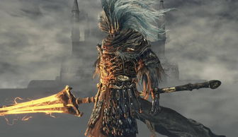 《黑暗之魂3》盾反技巧深度解析:全面优劣对比与实战动图教学 《黑暗之魂3》盾反技巧深度解析:全面优劣对比与实战动图教学