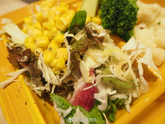 世嘉总部美食测评:玩家热议新总部食堂8.7分! 世嘉总部美食测评:玩家热议新总部食堂8.7分!