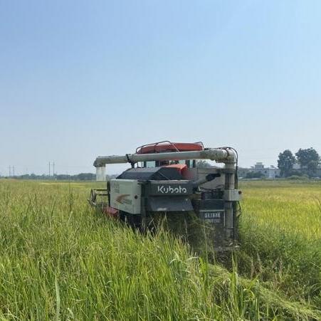 稻船敬二工作室被Level-5收购:15人团队新篇章 稻船敬二工作室被Level-5收购:15人团队新篇章