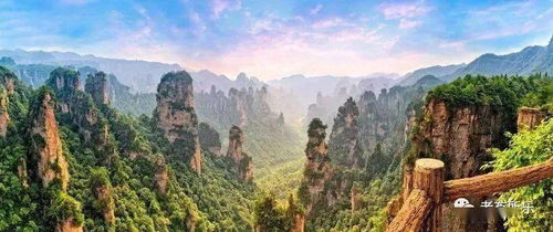 《墓地模拟》来袭！前Telltale设计师倾力打造，揭秘神秘游戏世界