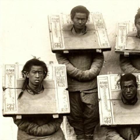 炉石传说世界树骑卡组攻略：高效构筑秘籍曝光