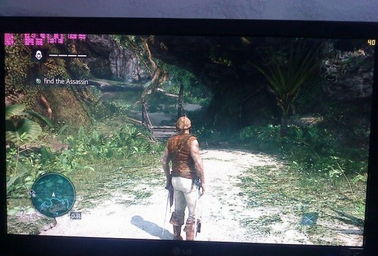 《刺客信条4》PC低配版性能解析:轻松畅玩攻略 《刺客信条4》PC低配版性能解析:轻松畅玩攻略