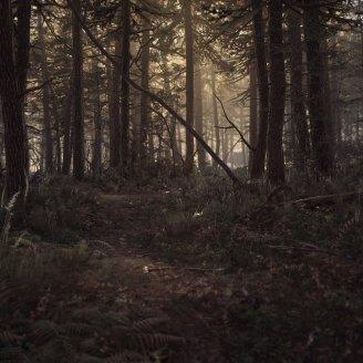 《布莱尔女巫》全流程攻略:实战解说,轻松通关秘籍 《布莱尔女巫》全流程攻略:实战解说,轻松通关秘籍