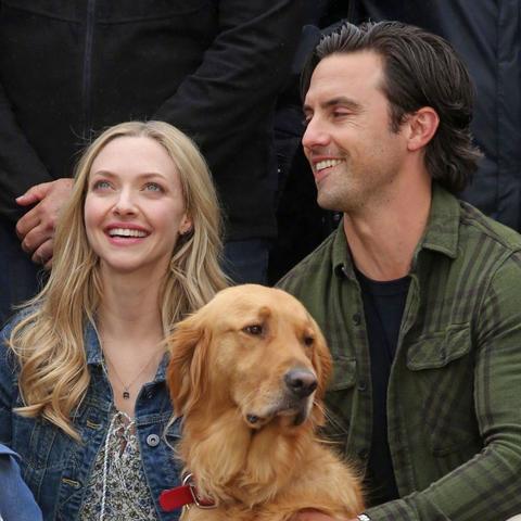 连姆·尼森告别动作片江湖:73岁传奇谢幕 连姆·尼森告别动作片江湖:73岁传奇谢幕