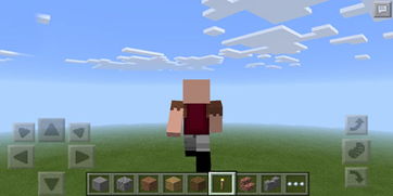 《Minecraft 1.12版鹦鹉驯养攻略:解锁神秘特性》 《Minecraft 1.12版鹦鹉驯养攻略:解锁神秘特性》