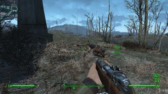 《辐射4》敦威治矿场惊悚揭秘:揭秘游戏中最恐怖的地点 《辐射4》敦威治矿场惊悚揭秘:揭秘游戏中最恐怖的地点