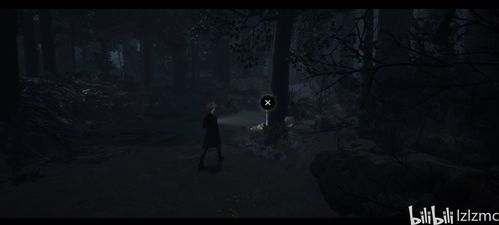 《采石场惊魂》全证据攻略：揭秘隐藏位置！