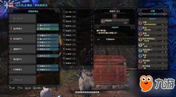 《荒野双刀鬼人攻略：核心思路与完美配装揭秘》