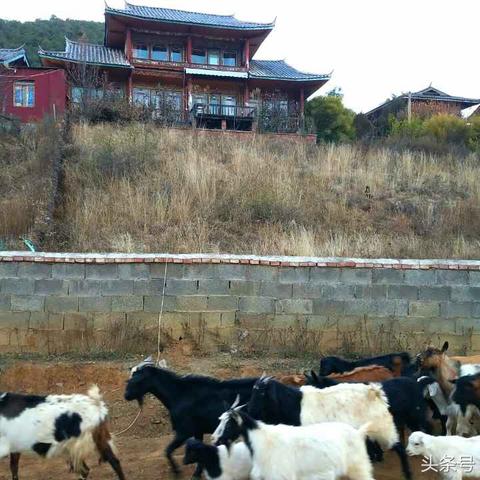 《美女仙侣相伴,成仙之路攻略价目表》 《美女仙侣相伴,成仙之路攻略价目表》