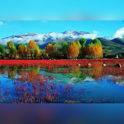 《星之海洋神圣力量》高效刷金攻略:快速提升财富秘籍 《星之海洋神圣力量》高效刷金攻略:快速提升财富秘籍