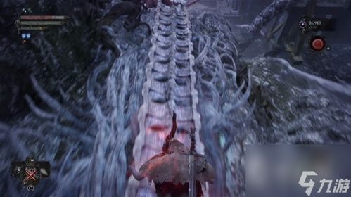 《堕落之主》前期魂刷法攻略：高效刷魂技巧揭秘