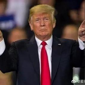 美国击剑选手跪地抗议被判离场 美国击剑选手跪地抗议被判离场