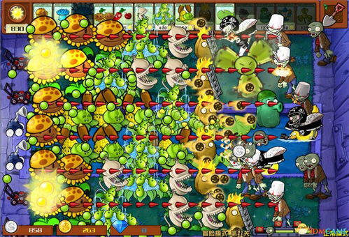 《植物僵尸杂交版》全金卡钻卡速拿!挑战模式通关秘籍大公开 《植物僵尸杂交版》全金卡钻卡速拿!挑战模式通关秘籍大公开