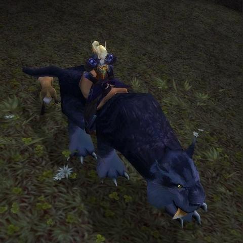 《灵魂面甲黑豹坐骑捕捉攻略:独家技巧揭秘》 《灵魂面甲黑豹坐骑捕捉攻略:独家技巧揭秘》