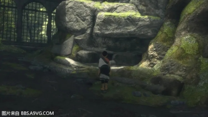 《最后的守护者》全暗示洞穴与木桶攻略：隐藏宝藏揭秘