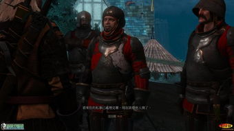 《巫师3》NS版揭秘:CDPR独家技术解析! 《巫师3》NS版揭秘:CDPR独家技术解析!