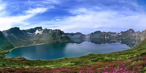 《心动小镇翠叶红颈凤蝶捕捉攻略》 《心动小镇翠叶红颈凤蝶捕捉攻略》