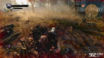 《巫师3》神秘半狮半鹫格里芬曝光，狂猎奇观不容错过