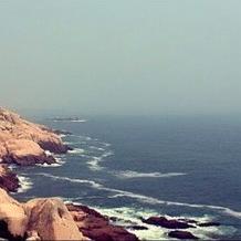 《猫猫钓游记》画面揭秘:高清钓游世界大赏 《猫猫钓游记》画面揭秘:高清钓游世界大赏