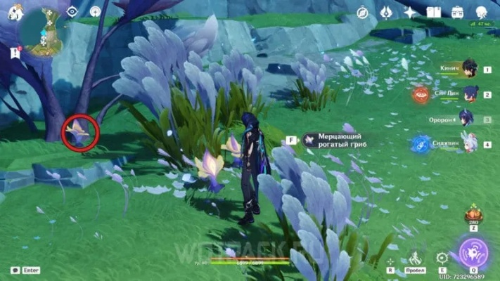 《原神》微光角菌高效采集攻略:隐藏地点大揭秘 《原神》微光角菌高效采集攻略:隐藏地点大揭秘