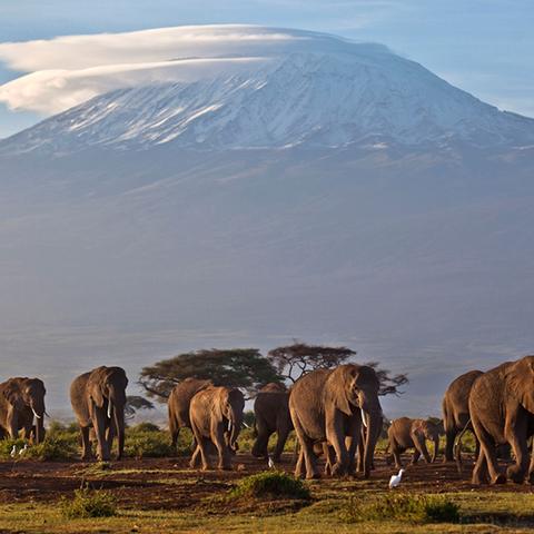 《荒野猎人》生态全解析:深度揭秘怪物栖息地 《荒野猎人》生态全解析:深度揭秘怪物栖息地