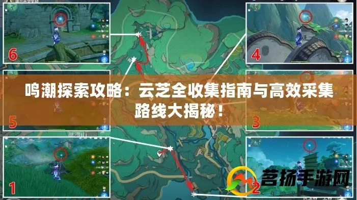 《鸣潮》云芝采集攻略:高效路线曝光! 《鸣潮》云芝采集攻略:高效路线曝光!