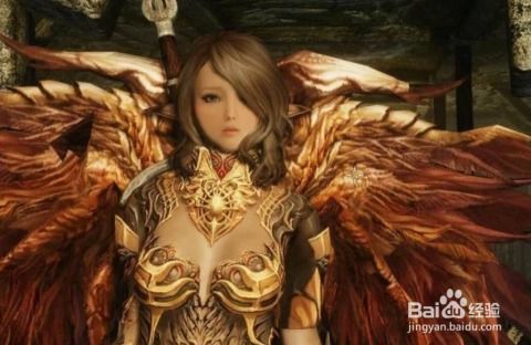 上古卷轴4女盗贼捏脸攻略：打造独特魅力角色