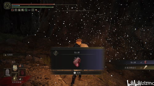 《艾尔登法环》古龙瑟涅桑克斯DLC攻略:黄金树之影全解析 《艾尔登法环》古龙瑟涅桑克斯DLC攻略:黄金树之影全解析