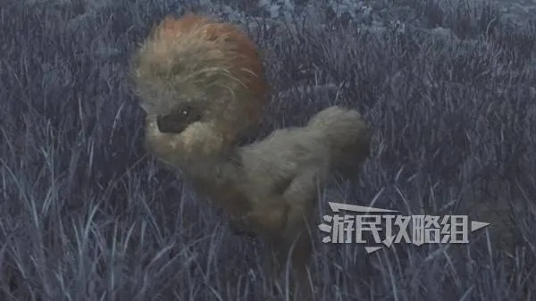 《怪物猎人荒野》箭羽龙藏身之地揭秘 《怪物猎人荒野》箭羽龙藏身之地揭秘