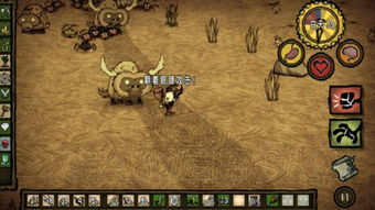 《饥荒联机生存攻略:新手必看建家打怪技巧》 《饥荒联机生存攻略:新手必看建家打怪技巧》