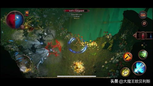 《流放之路2》官网揭秘:探索未知,开启冒险之旅 《流放之路2》官网揭秘:探索未知,开启冒险之旅