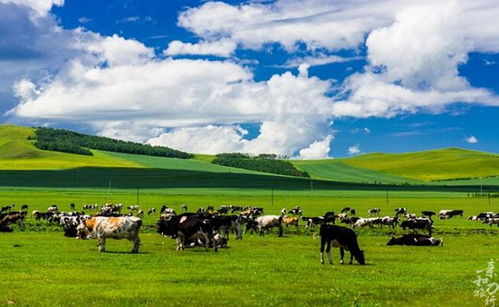 《燕云十六声》夏日草原新装登场!双人格斗奇术免费体验! 《燕云十六声》夏日草原新装登场!双人格斗奇术免费体验!