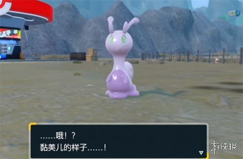 《宝可梦朱紫》雨天牌王阵容攻略，轻松制胜！