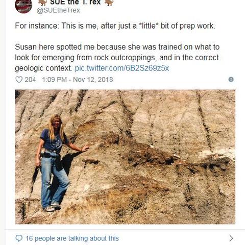 《荒野大镖客2》恐龙化石藏匿全揭秘攻略! 《荒野大镖客2》恐龙化石藏匿全揭秘攻略!