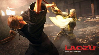 《仁王》空手流攻略：全BOSS无伤挑战技巧揭秘