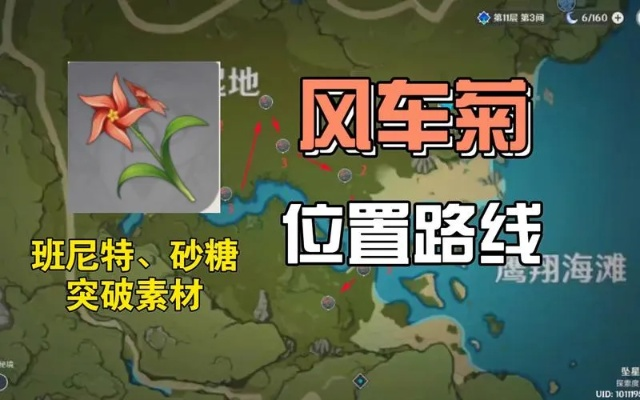 《原神》4.6版本风车菊攻略:高效采集与购买指南 《原神》4.6版本风车菊攻略:高效采集与购买指南
