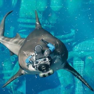 《炸弹人R》Steam预购火爆开启!中文支持,国区玩家福利来袭 《炸弹人R》Steam预购火爆开启!中文支持,国区玩家福利来袭