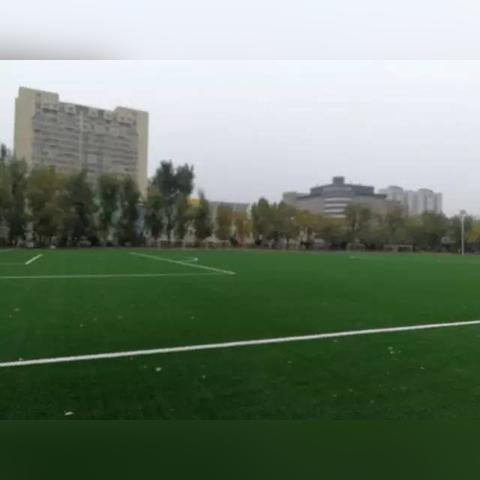 《FIFA 10》超清草皮补丁预览+免费下载!必看! 《FIFA 10》超清草皮补丁预览+免费下载!必看!