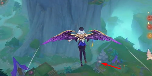 《原神》4.8版本飞羽全收集攻略:隐藏秘境解锁! 《原神》4.8版本飞羽全收集攻略:隐藏秘境解锁!