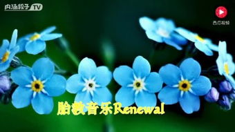 《勿忘我》首关攻略:揭秘游戏开局秘境 《勿忘我》首关攻略:揭秘游戏开局秘境